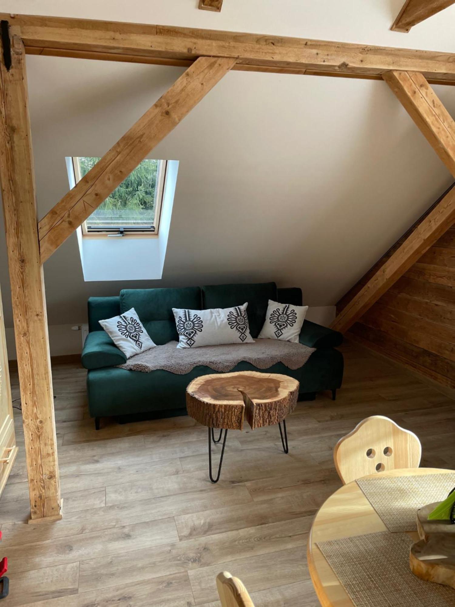Apartamenty Krysin Zakopane Buitenkant foto